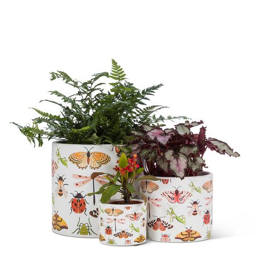 Allover Bugs Planter - Multiple Sizes Available