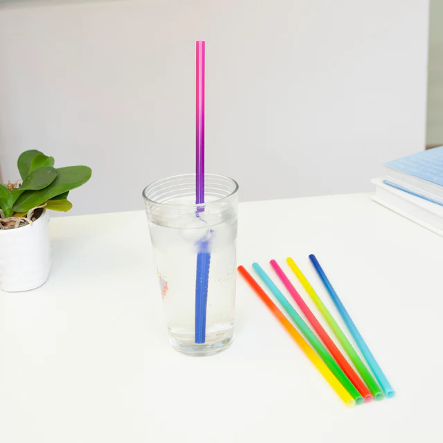 Re-Usable Ombre Plastic Straw